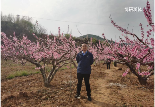 步履不停，共赴春光